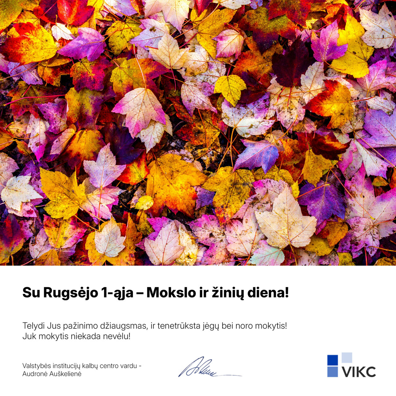 Su Rugsejo 1-ąja, mielieji!